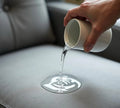 Scotch Guard Stain Protection Treatment