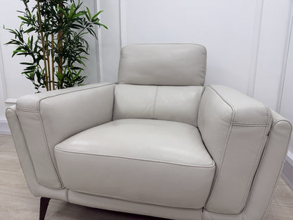 DFS San Antonio Fixed Armchair In Fossil Leather