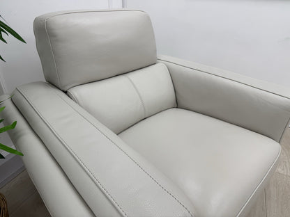 DFS San Antonio Fixed Armchair In Fossil Leather